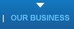 Our Business