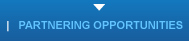 Partnering Opportunities